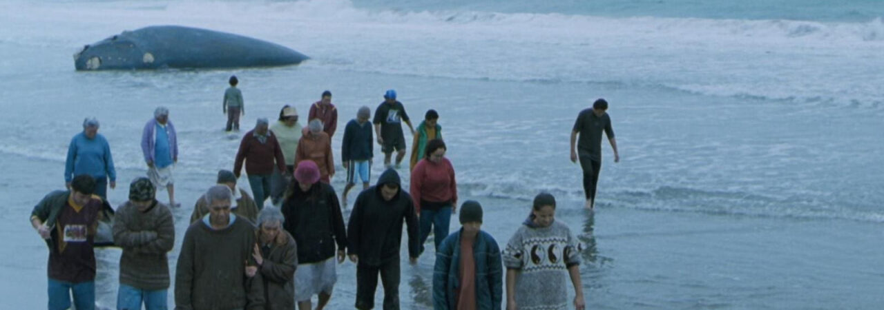 Poster of Whale Rider