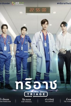 Poster of Triage