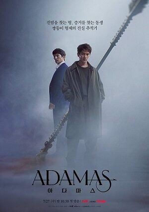 Poster of Adamas