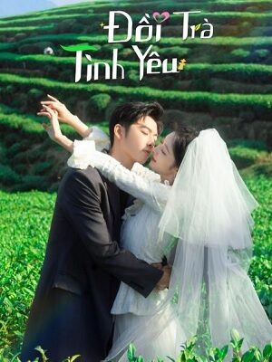 Xem phim Đồi Trà Tình Yêu 8 Sub Nhanh Thuyết Minh Tập 24-End VietSub Phim Trung Quốc-Love in the Tea Garden