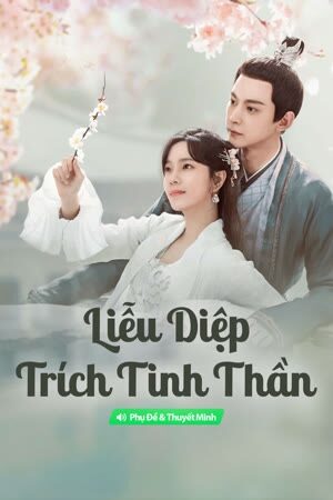 Poster of Liễu Diệp Trích Tinh Thần