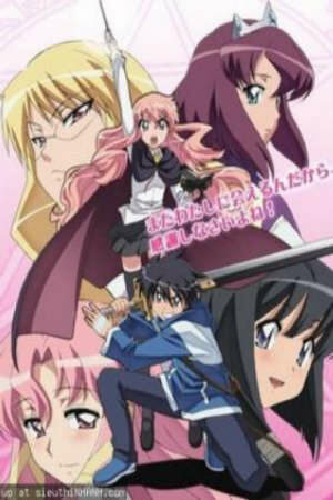 Poster of Zero no Tsukaima SS2