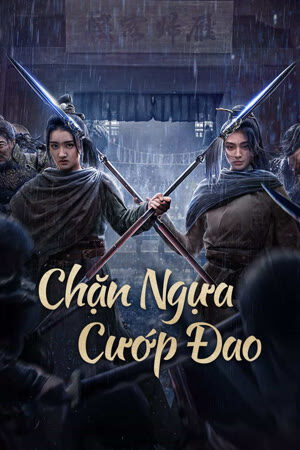 Poster of Chặn Ngựa Cướp Đao