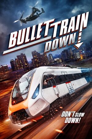 Poster of Bullet Train Down