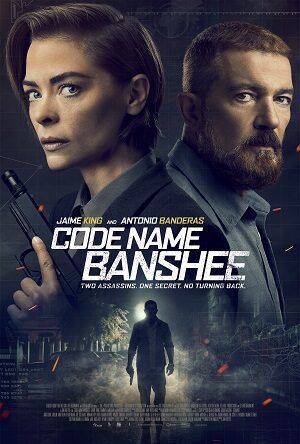 Poster of Code Name Banshee