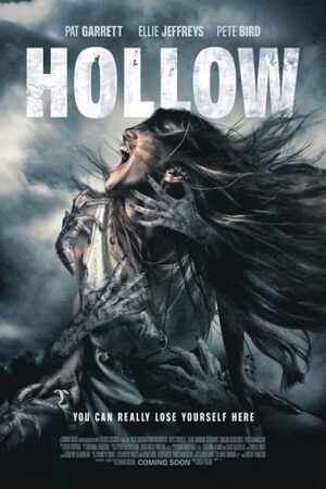 Poster of Hollow