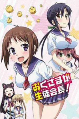 Poster of Okusama ga Seitokaichou!