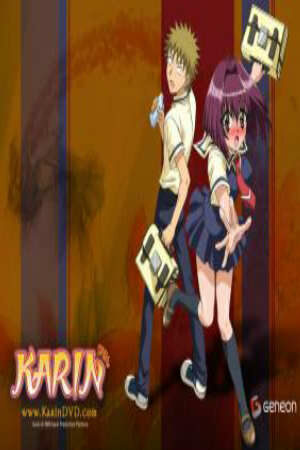 Poster of Karin