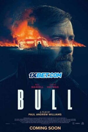 Poster of Bull