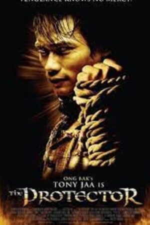 Phim Người Bảo Vệ - The Protector Subnhanh Vietsub (2005)