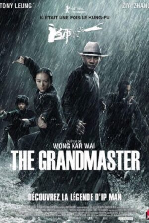 Phim Nhất Đại Tông Sư - The Grandmaster Subnhanh Vietsub (2013)