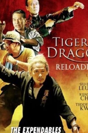 Phim Đả Lôi Đài - Tiger And Dragon Reloaded Subnhanh Vietsub (2010)