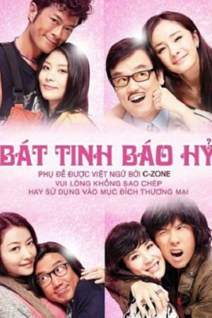 Poster of Bát Tinh Lão Hỷ