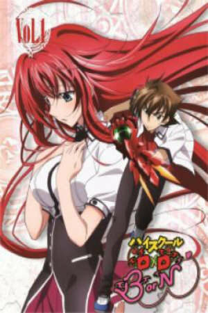 Poster of High School DxD BorN Special