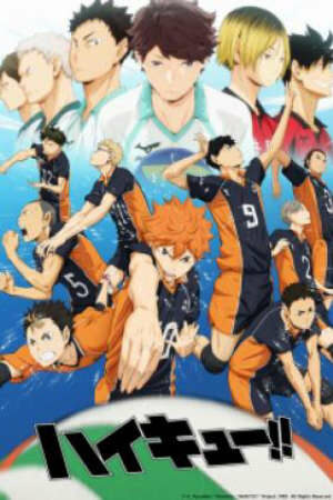 Poster of Haikyuu!!