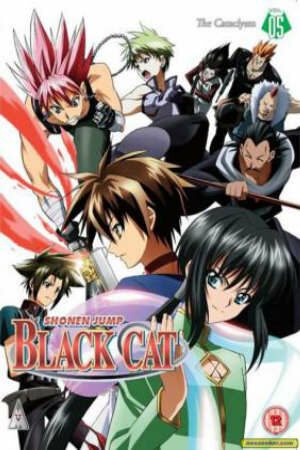 Poster of Black Cat