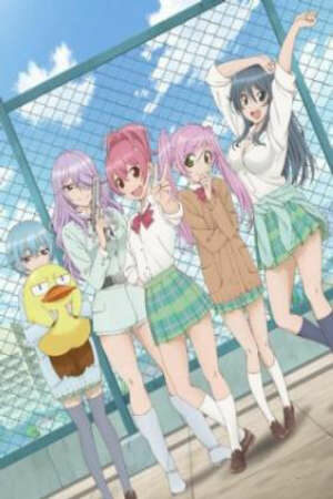 Poster of Sabagebu! Specials