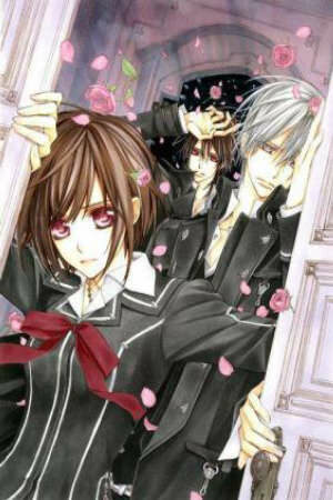 Poster of Vampire Knight