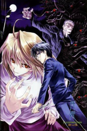 Poster of Shingetsutan Tsukihime