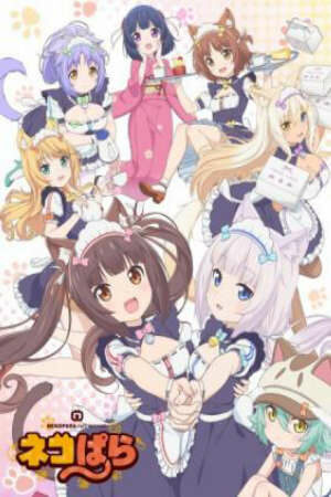 Phim NekoparA (TV) - NekoparA (TV) Subnhanh Vietsub ()