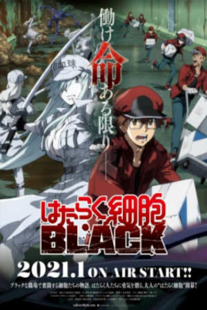 Poster of Hataraku Saibou Black (TV)