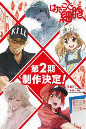 Xem phim Hataraku Saibou 2nd Season 4 Sub Nhanh Thuyết Minh Vietsub Phim Trung Quốc-Hataraku Saibou!!, Cells at Work! 2nd Season