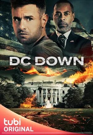 Poster of DC Down