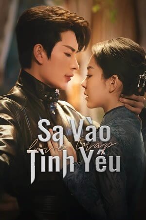 Poster of Sa Vào Tình Yêu