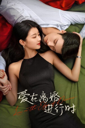 Phim Yêu Khi Sắp Ly Hôn - Love in the Edge of Divorce Subnhanh Vietsub (2025)