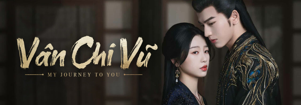 Poster of Vân Chi Vũ